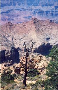 Grand Canyon x3